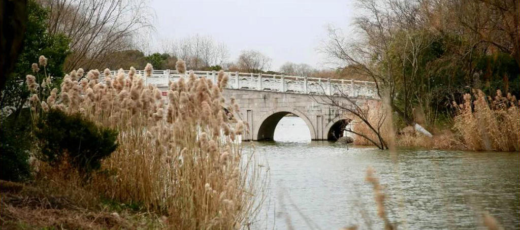 ��ɽ���˴���˴幫԰�㸣��