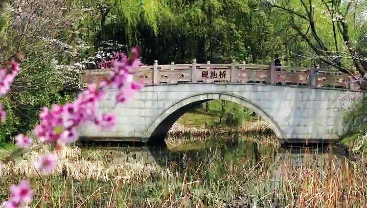 ��ɽ���˴���˴幫԰�����