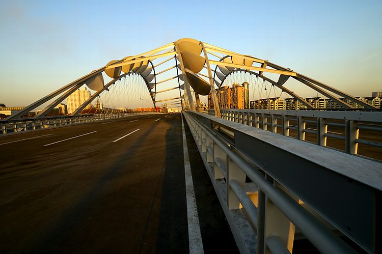 天津市直沽桥