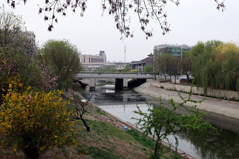 天津市南运河桥