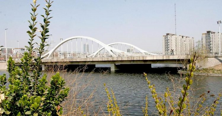 天津市紫金山路桥
