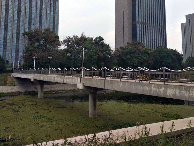 天津市柳滩渡口人行桥