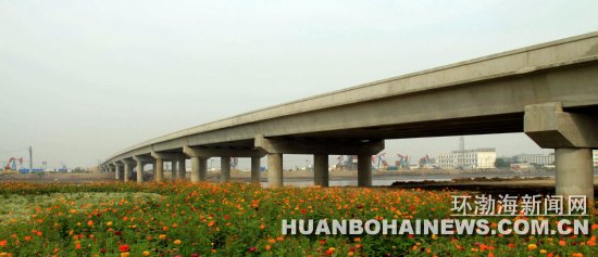 唐山湾国际生态城青龙河大桥