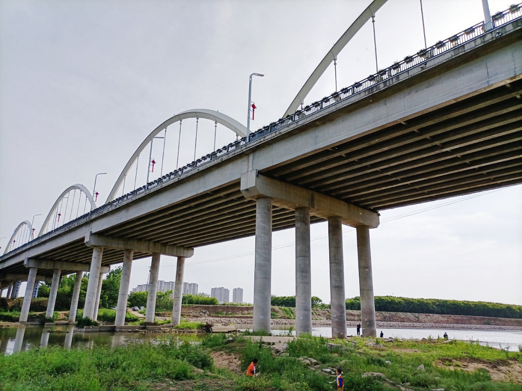 �ƺ�������Ӷɿڴ���