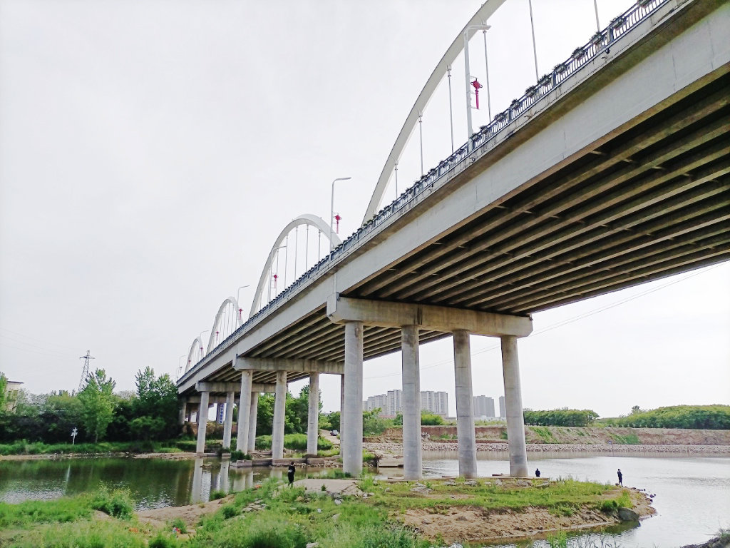 �ƺ�������Ӷɿڴ���