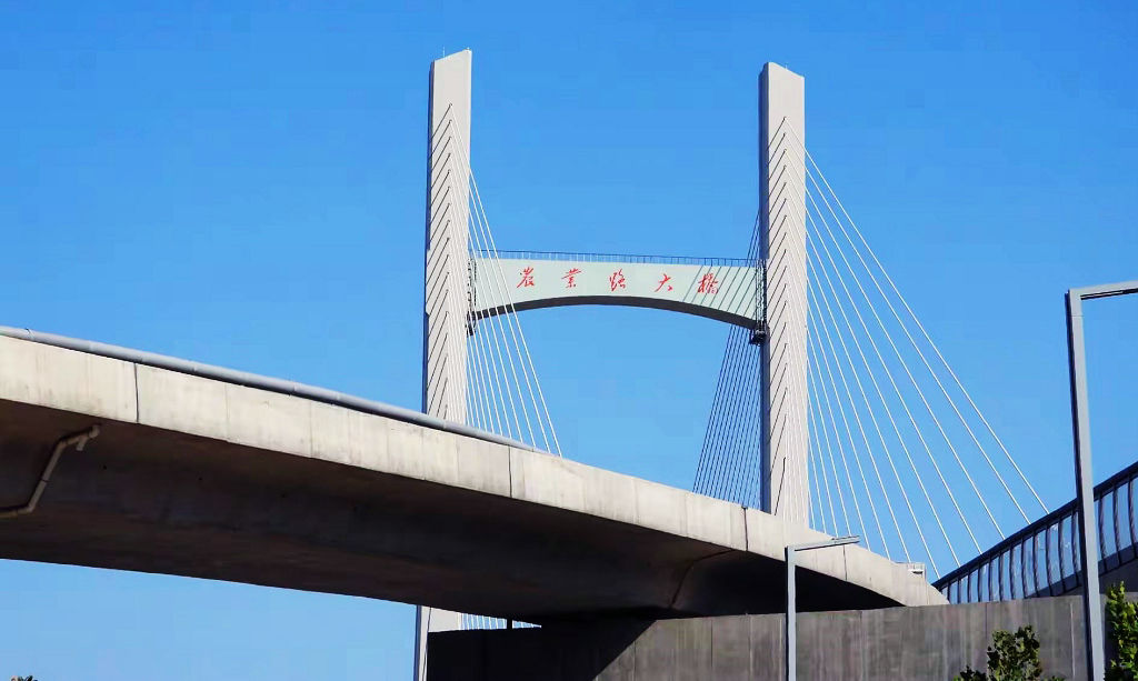 ֣����֣������