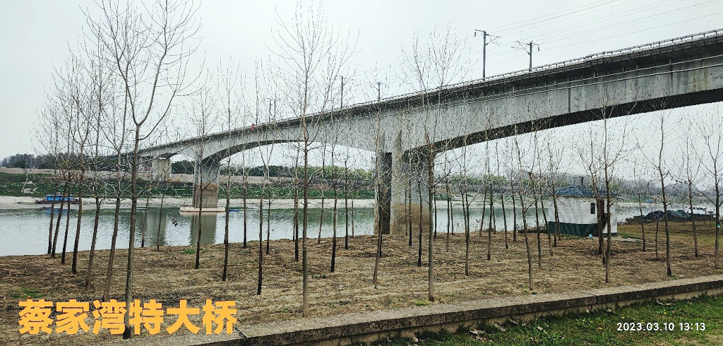 �人�в̼����ش���