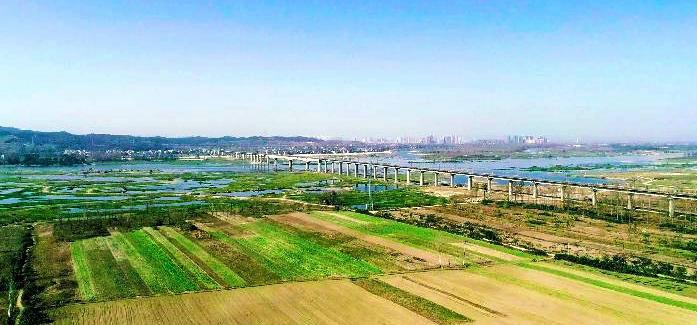 �����к����ش���