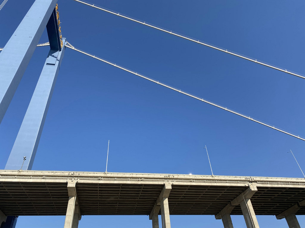 �˲����˶���������