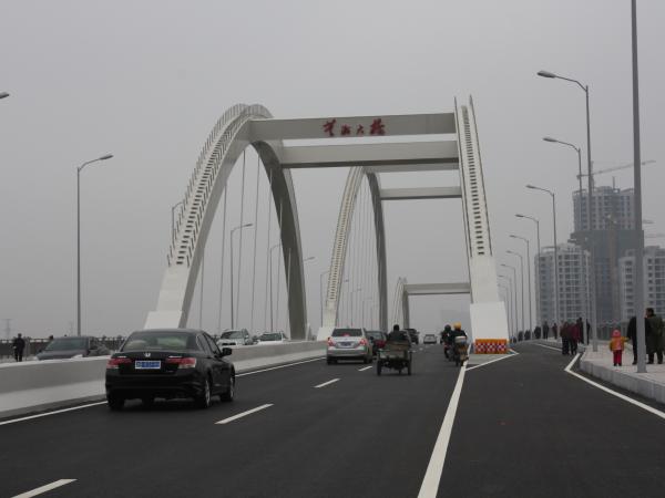 株洲市芦淞大桥