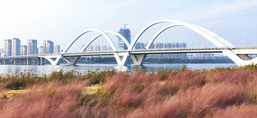 �������Ͼ�·�ʺӴ���