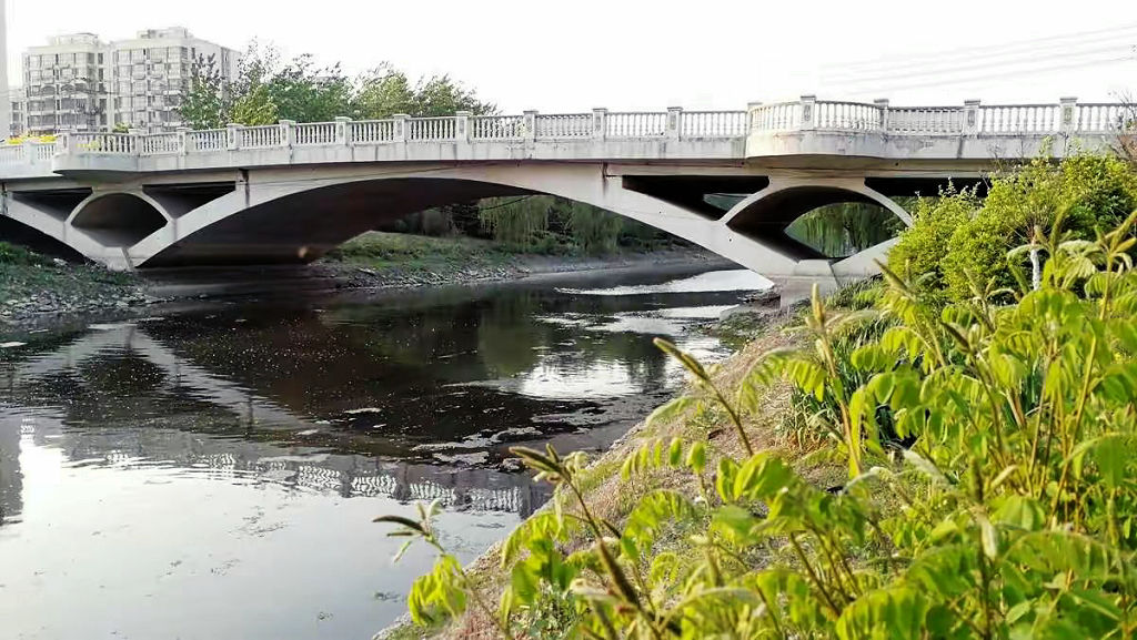 �����кӶ���֥��սֵ��쳤��