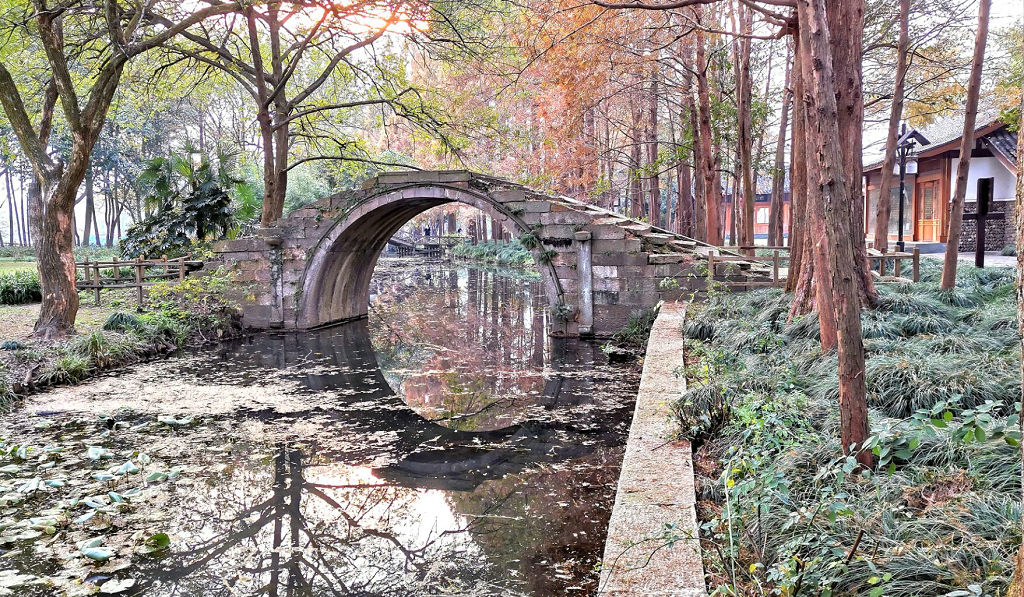 ����������ͨ������