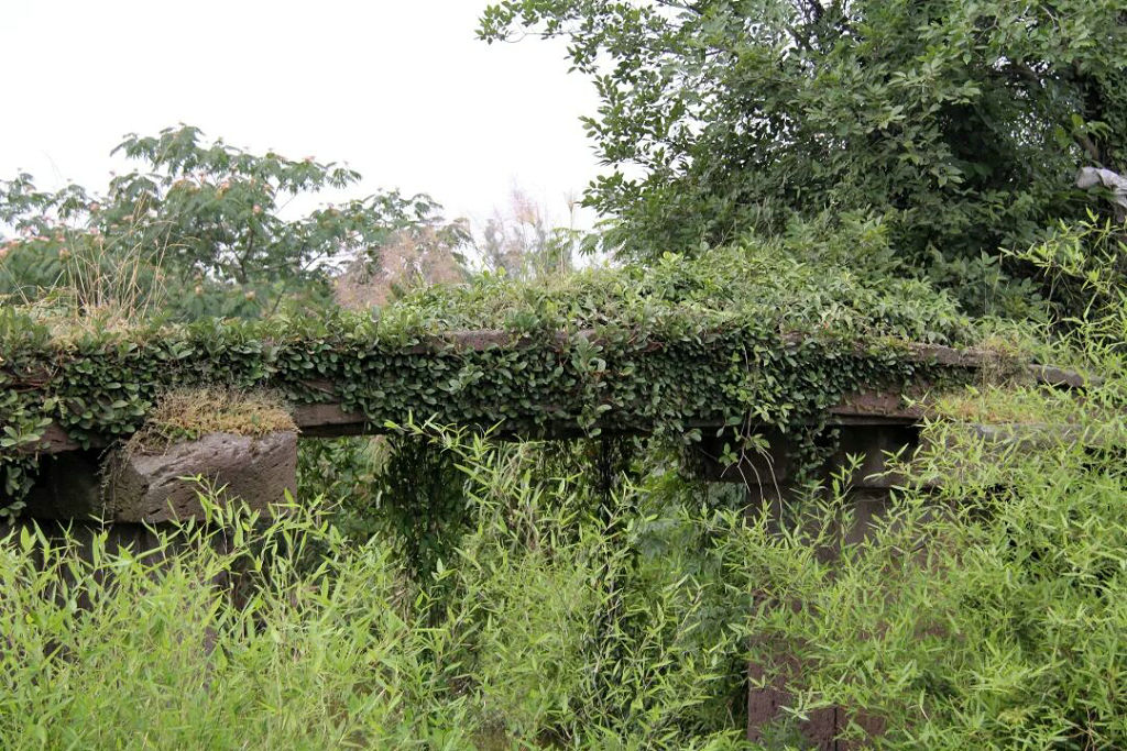 ��������ɽ�����ϴ�������