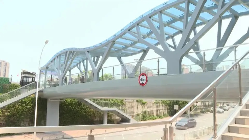 �ϰ�������Сѧ��������