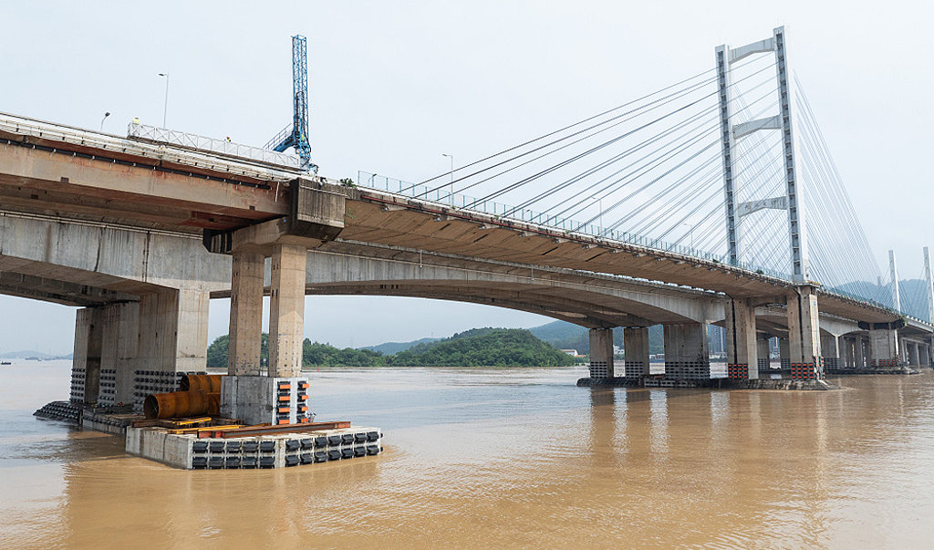 �㶫ʡ�Ž�����