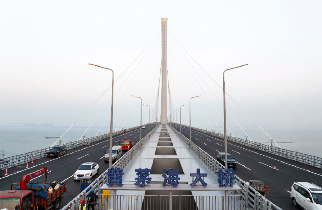 �㶫ʡ��é������