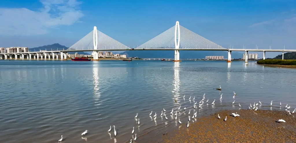 �����������Ľ�����