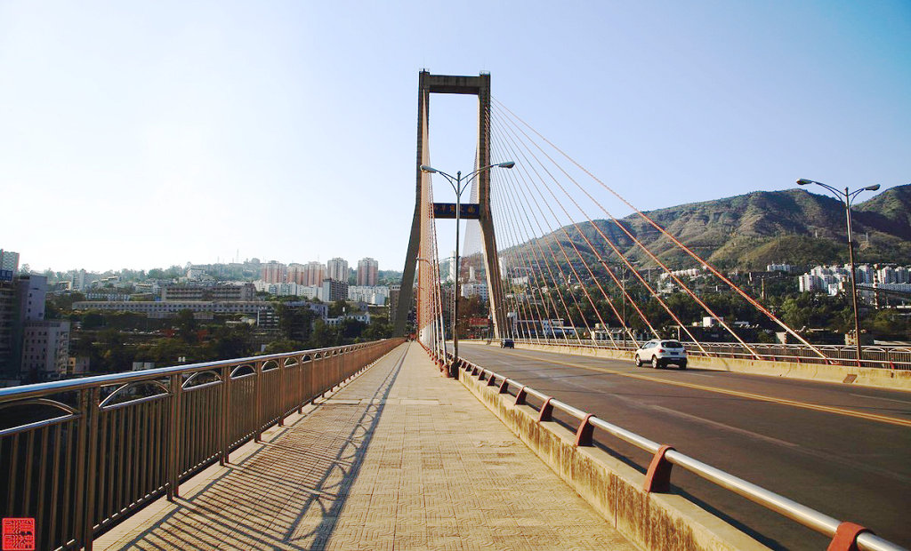 ��֦���б��ݸڴ���