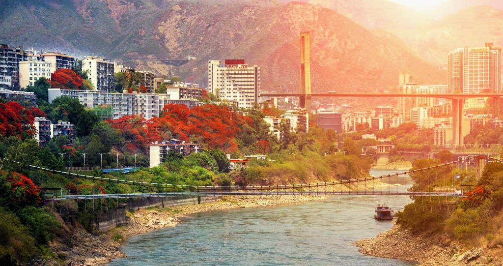 ��֦���жɿڵ���