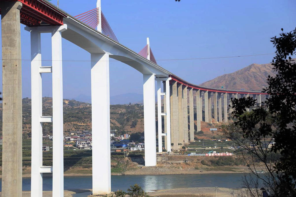 ��֦���з��Ѹ���������