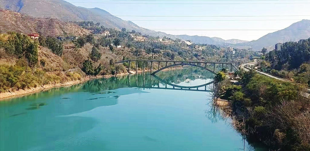 ��֦�����ռҶɹ���