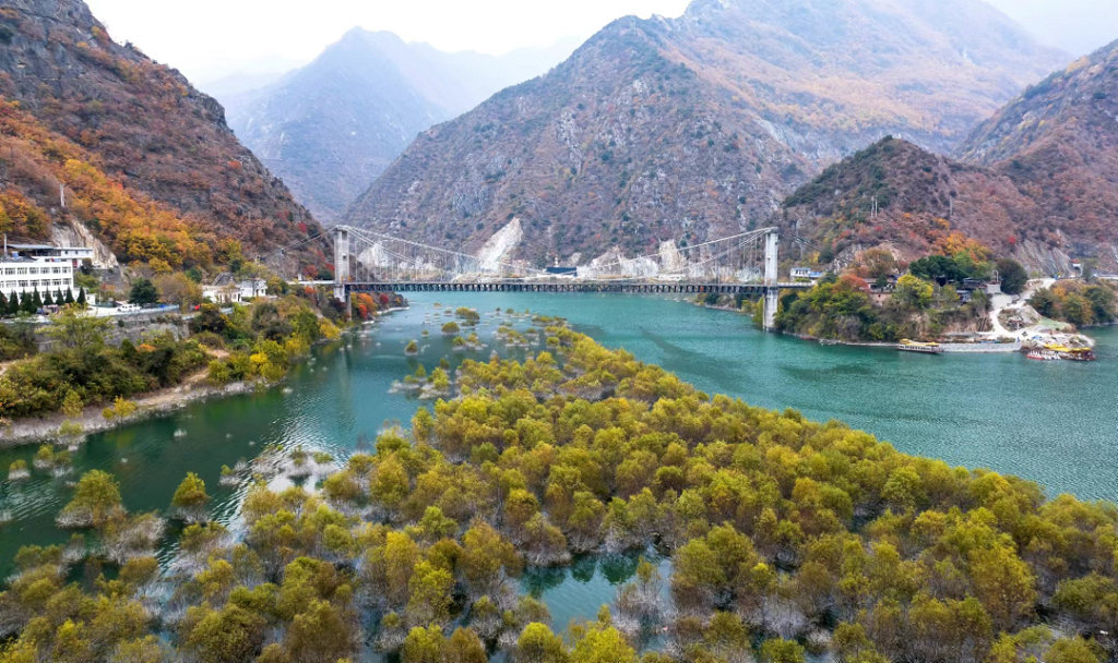 ¤�������ع�ͷ�Ӵ���