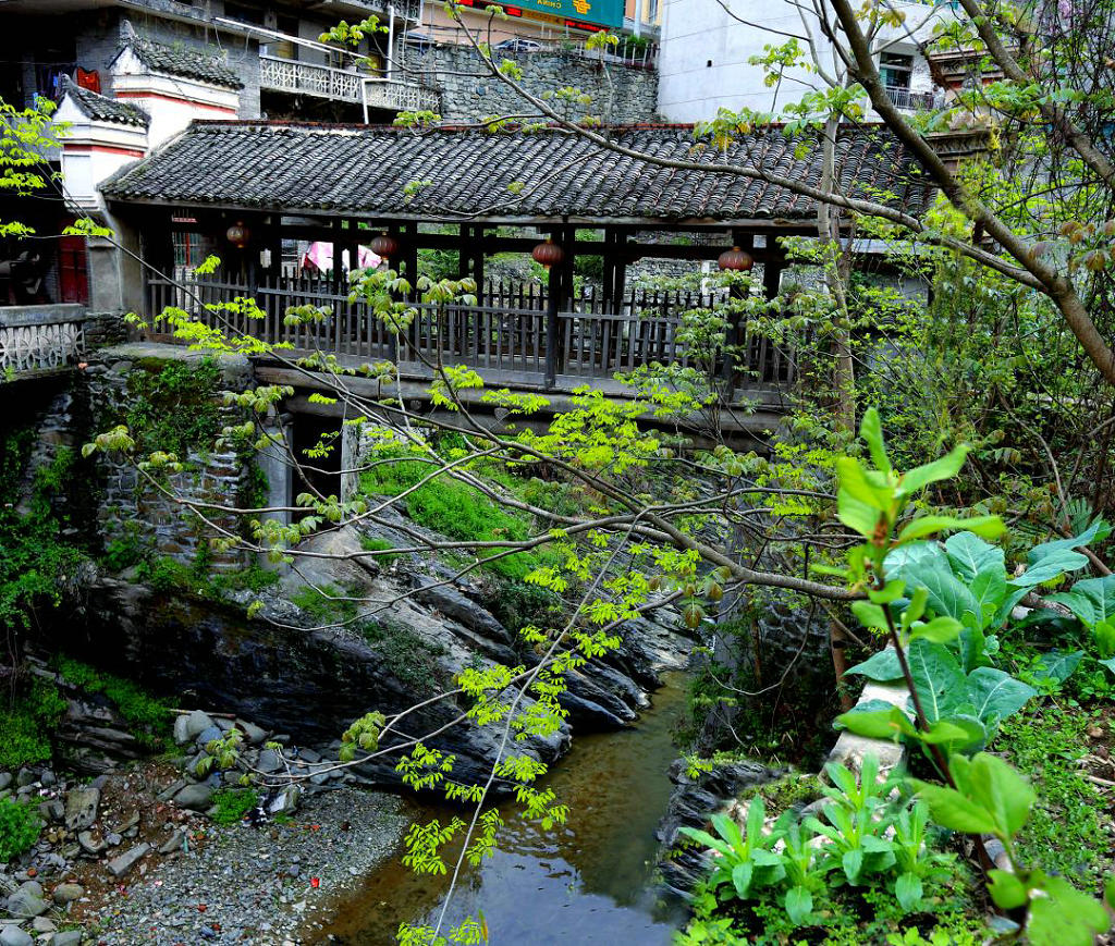 �����ظ�����˫ľ��