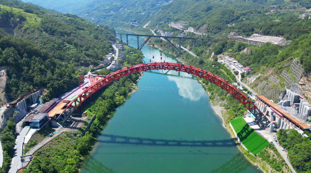 �����к�����������������