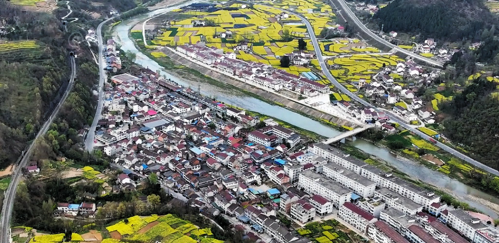 �������������������̴���