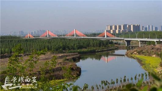高陵区泾河入渭口特大桥