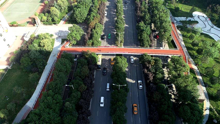 ������������С��������