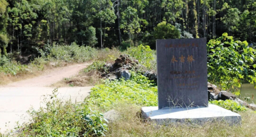 �ó��ع�����������