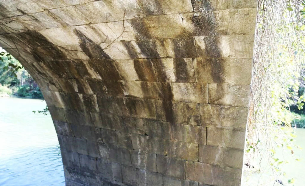 �ó��ع�����������