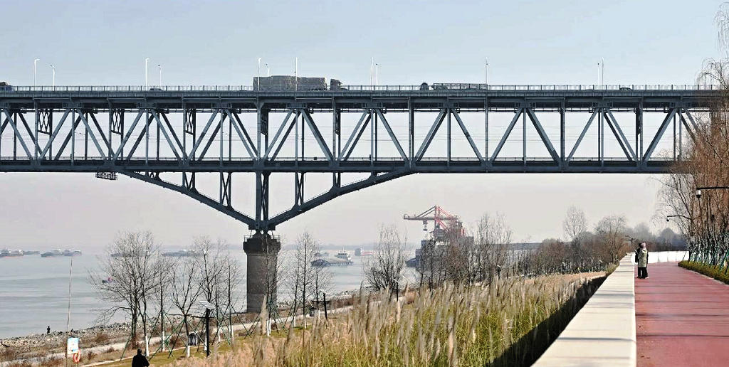 �Ž���������