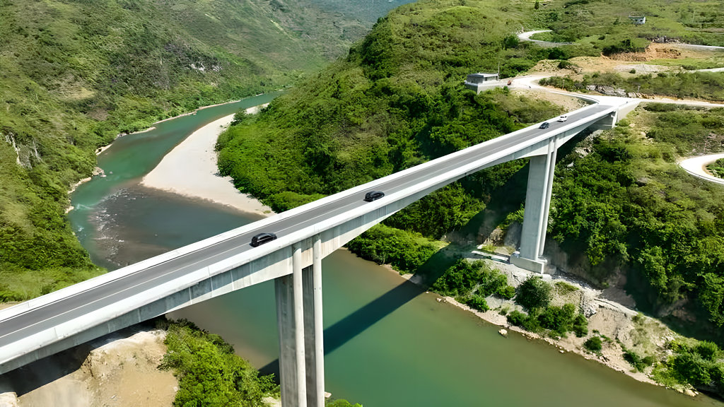 ����ƺ����